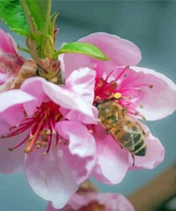 Bee On Blooming Peaches paint by number