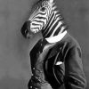 Black And White Mr Zebra paint by number