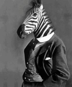 Black And White Mr Zebra paint by number