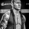 Black And White Randy Orton paint by number