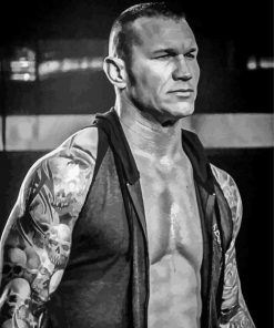 Black And White Randy Orton paint by number