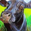 Black Cow paint by number