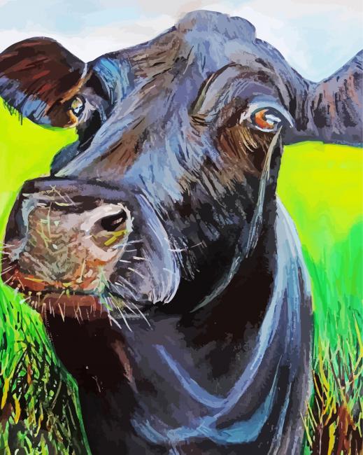 Black Cow paint by number