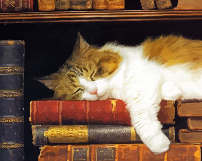 Cute Sleepy Cat And Books paint by number