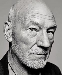 Patrick Stewart In Black And White paint by number
