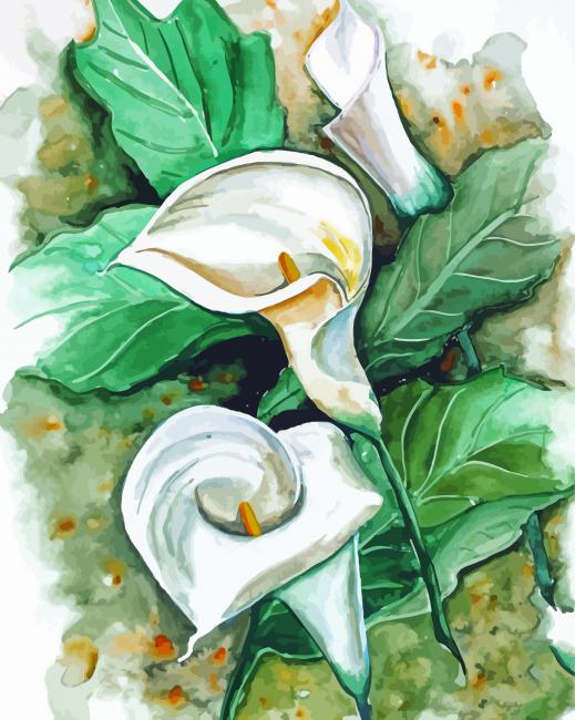 Peace Lily Art paint by number