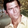 Actor Clint Walker paint by number