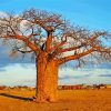 African Tree paint by number