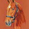 American Quarter Horse Head Art paint by number