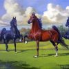 American Saddlebred Stallions paint by number