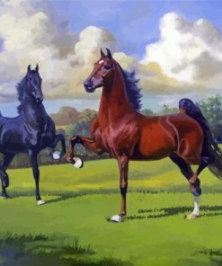 American Saddlebred Stallions paint by number