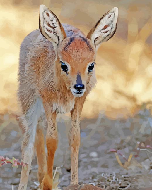 Baby Steenbok paint by number