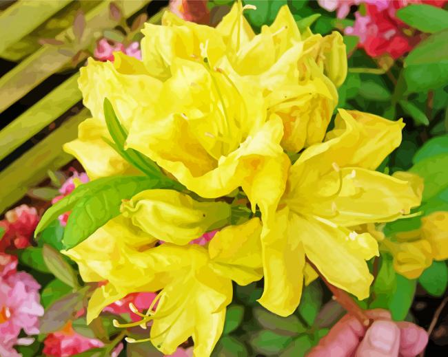 Blooming Yellow Azalea Plant paint by number