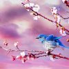 Blue Bird And Blossom paint by number