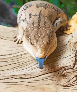 Blue Tongued Skink paint by number
