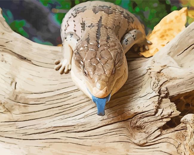 Blue Tongued Skink paint by number