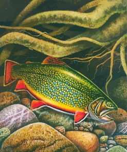 Brook Trout Fish Underwater paint by number