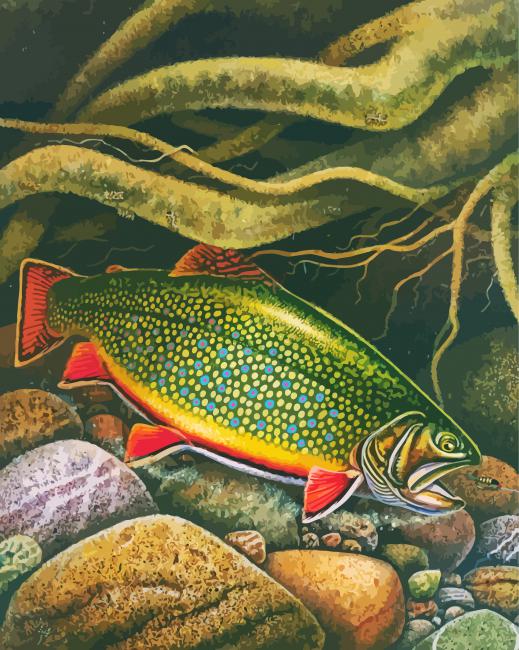 Brook Trout Fish Underwater paint by number