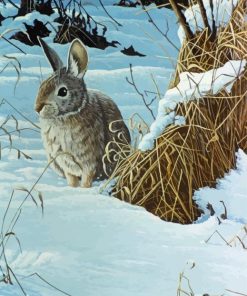 Brown Bunny In Snow paint by number
