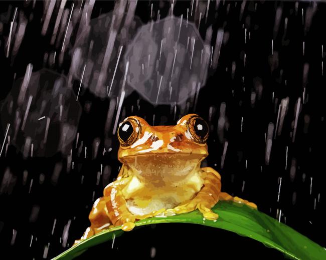 Brown Frog In The Rain paint by number