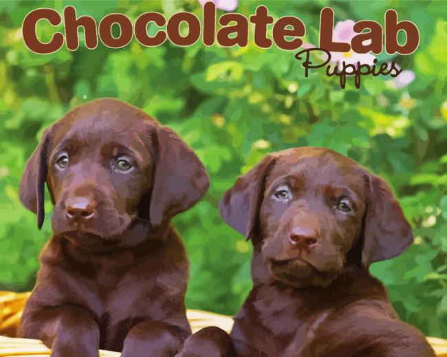 Chocolate Labrador Retriever Dogs paint by number