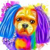 Colorful Shih Tzu Dog Animal paint by number