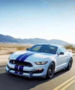 Cool White And Blue Mustang On Road paint by number