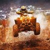 Dirty Ride Quad Bike paint by number