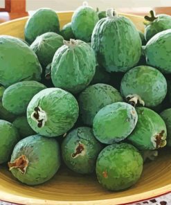 Feijoa paint by number
