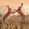 Fighting Hares paint by number