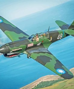 Flying Tiger Plane paint by number