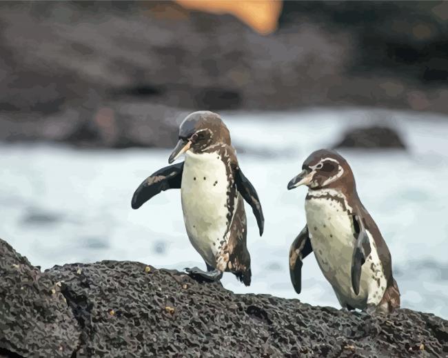 Galapagos Penguins paint by number