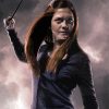 Ginny Weasley Harry Potter Serie paint by number