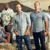 Hawaii Five O Characters paint by number