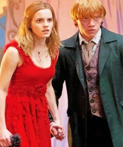 Hermione And Ron Lovers paint by number