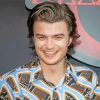 Joe Keery The Actor paint by number