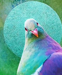 Kereru Bird paint by number