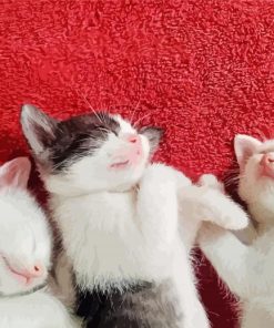Kittens Sleeping paint by number