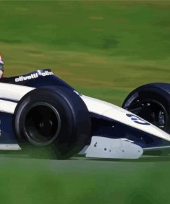 Marc Surer Driving Formula One paint by number