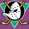 Mighty Ducks Logo paint by number