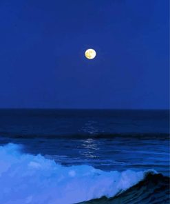 Moon By The Sea paint by number