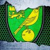 Norwich City Fc Logo paint by number