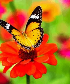 Orange Flower With Butterfly paint by number