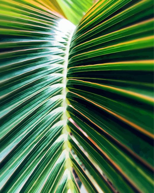 Palm Leaf paint by number