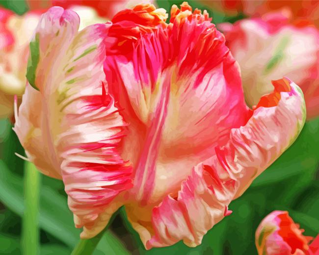 Pink White Parrot Tulip paint by number