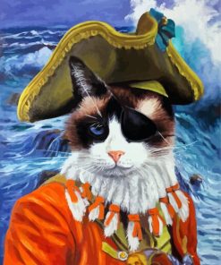 Pirate Cat Art paint by number