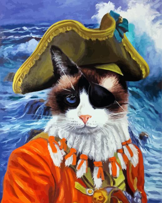 Pirate Cat Art paint by number