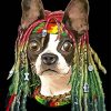 Rasta Dog paint by number