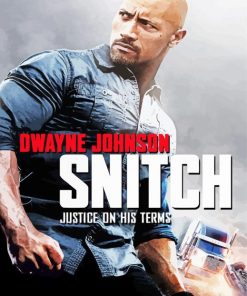 Snitch Movie Poster paint by number
