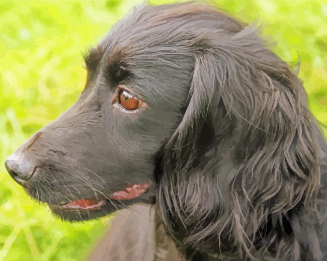 The Black Cocker Spaniel Dog paint by number